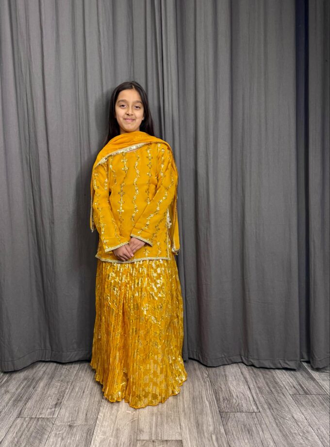 Lehenga broshia organza geel