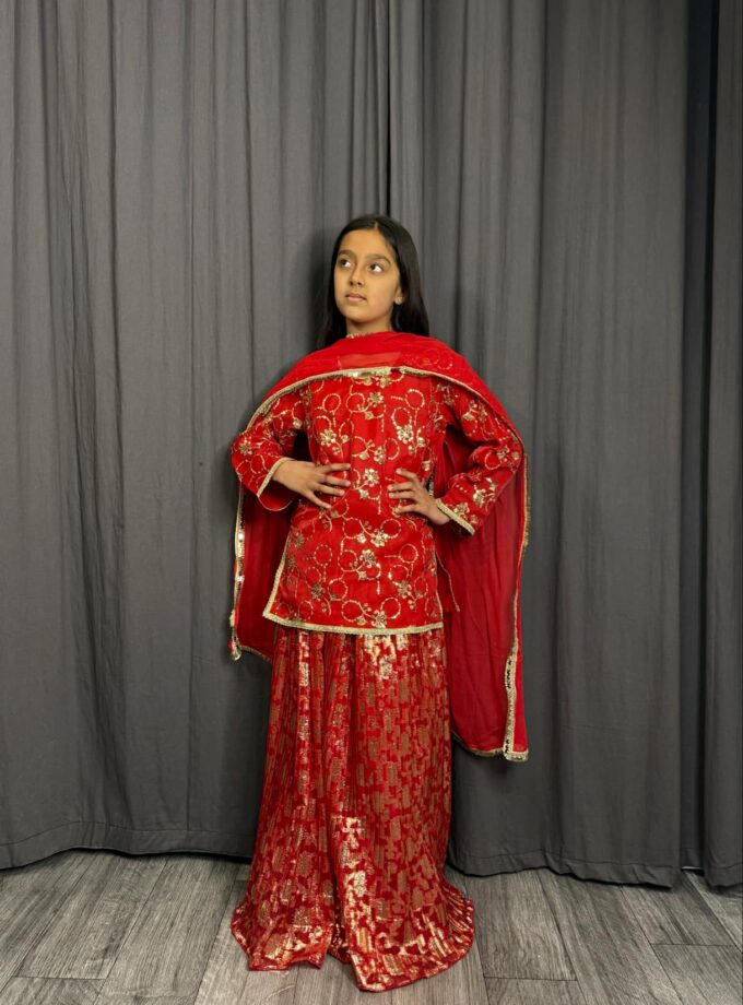 Lehenga broshia organza rood