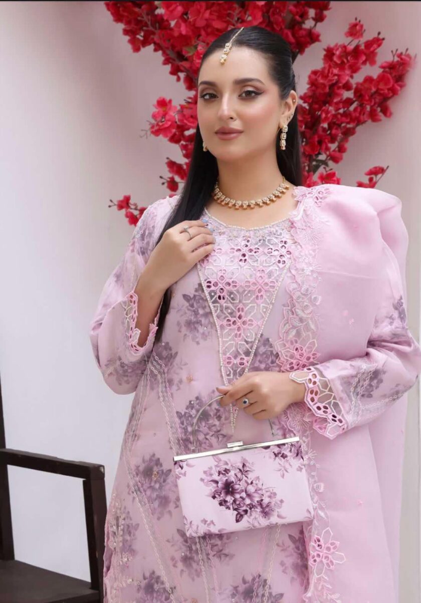 Bint e Noor organza suit roze