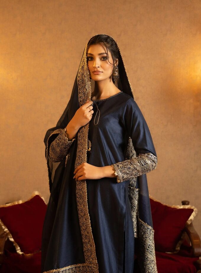 Shaposh chamray katan suit zink