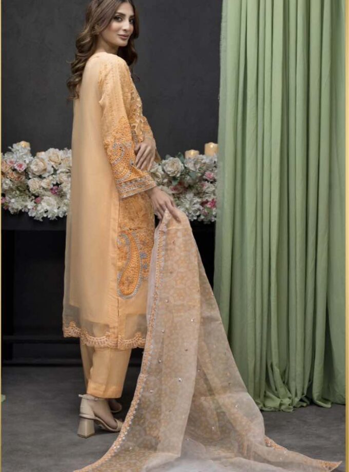 Zainab Fazlani organza suit zalm