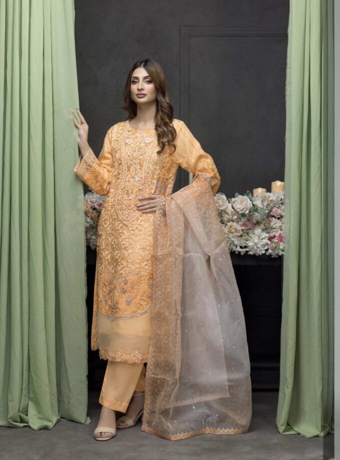 Zainab Fazlani organza suit zalm