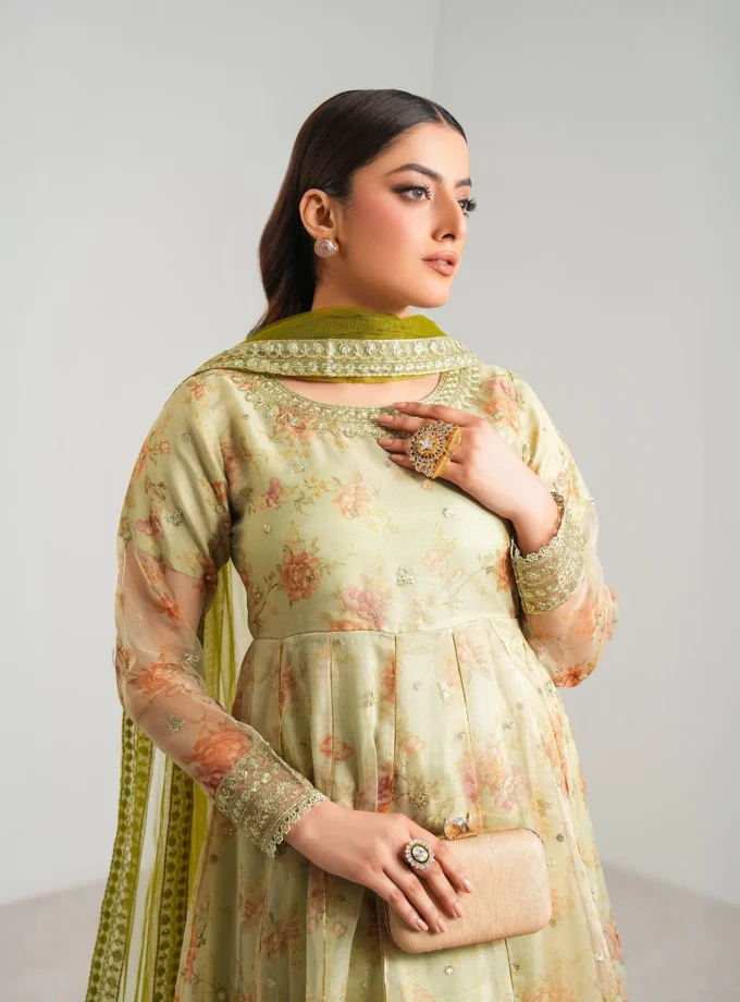 Shaposh tissue maxi