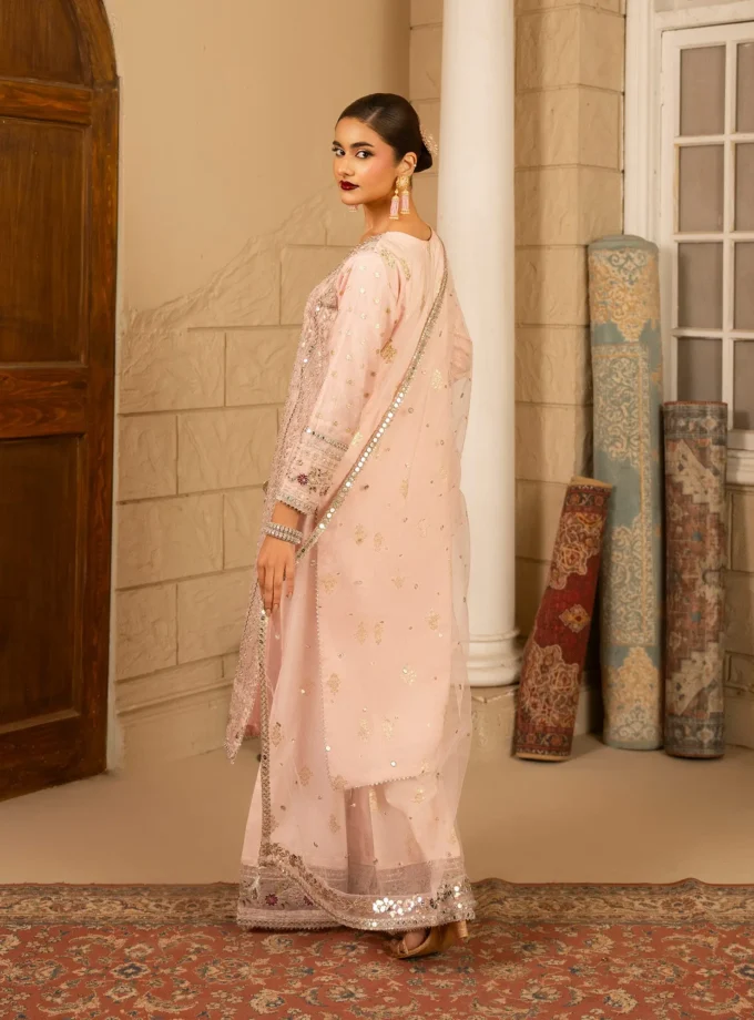 Shaposh bori net suit - 3delig 2202