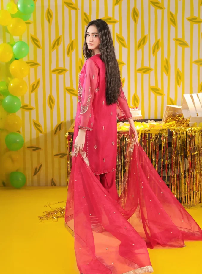 Shaposh organza suit -3delig 2204