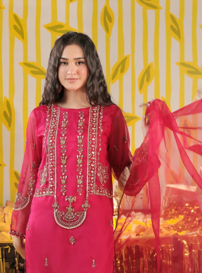 Shaposh organza suit -3delig 2204