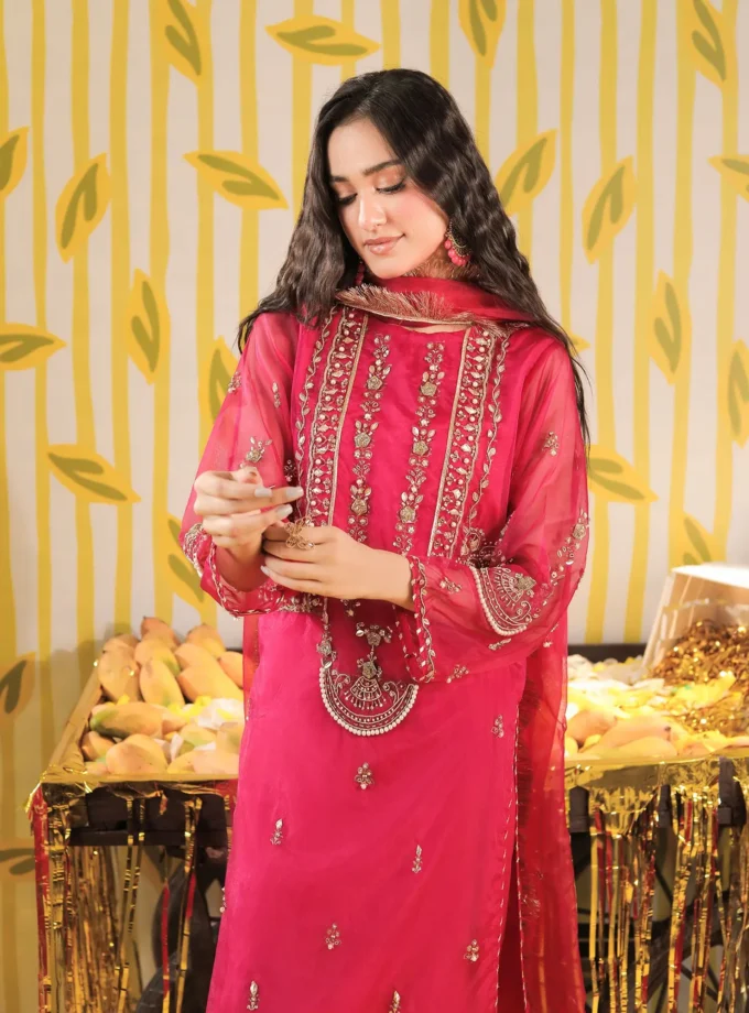 Shaposh organza suit -3delig 2204